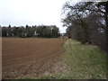 Field beside Rambushfield Belt in IP28 6NL