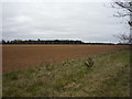 Farmland near the A14, Higham in IP28 6NT