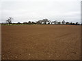 Field near Lower Green in IP28 6NH