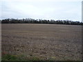 Stubble field near Twite's Bridge in IP29 5LH