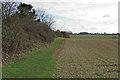 Public footpath along arable field boundary near Hallam, Radwinter in CB10 2TL