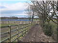 Path from Thompson House Solar Farm to Langtree Old Hall Farm in WN6 0QL