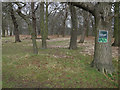 Anti-foraging sign in Richmond Park in KT2 7JR