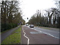 Trumpington Road (A1134) in CB2 8EX