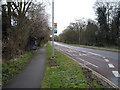 Bus stop and shelter on Trumpington Road (A1134) in CB2 8EX