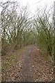 Footpath beside Thorley Lane in WA15 8TR