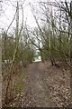 Path beside Thorley Lane in M22 1QW