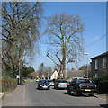 Histon: Station Road in early spring in CB24 9BA