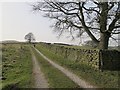 Track onto Rombalds Moor in LS29 7AE