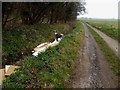 Another fly tip in the ditch alongside the bridleway in DN15 9HH