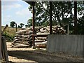 2007 : Woodyard near White Ox Mead Farm in BA2 8PN