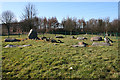Balgarthno Stone Circle (1) in DD2 5JW