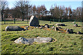 Balgarthno Stone Circle (4) in DD2 5JW