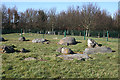 Balgarthno Stone Circle (5) in DD2 5JW