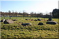 Balgarthno Stone Circle (8) in DD2 5JW