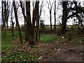 Path into the woodland and in the background Broughton cemetery in DN20 0AW