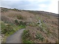 Coast Path on Burthallan Cliff in TR26 2HG