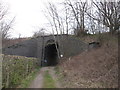Bridge under the dismantled railway at Dingle Bank in S44 5XJ