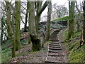 Steps in Tin Mill Rocher in S36 2SU