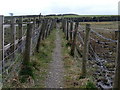 Narrow fenced footpath in S36 9UX