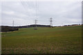 Pylons near Santon Wood in DN20 0BG