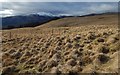 Fence on moorland behind Callander Craig in FK17 8AU