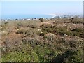 Worvas Hill and Carbis Bay seen from Knill's monument in TR26 3HD