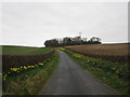 Road to Elmswell Wold Farm in YO25 3AB