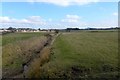 Drainage ditch and grazing near Strathaven in ML10 6BJ