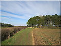 Footpath from Wilberfoss toward Carberry Hill Farm in YO41 5LT