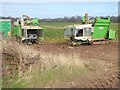 Brussels sprout harvesters near Biel Mill in EH42 1TB