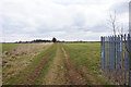 Opencast Way towards Pink Pig Farm in DN16 3RD