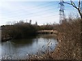 Unnamed pond by Ings Lane, Allerton Bywater in Allerton Bywater