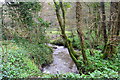 Stream at head of Old Mill Creek in TQ6 9TD