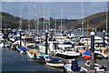 Boats at marina, Dartmouth in TQ6 9TE
