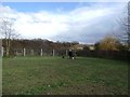 Off-Leash Exercise Paddock at the Four Paws Hotel in S44 5DN