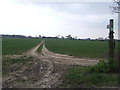 Footpath Off Rushmere Road in NR33 8HB