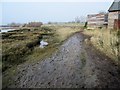 Muddy footpath near Colner Creek in PO18 8NP
