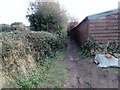 Footpath adjacent to shed  in PO18 8NP