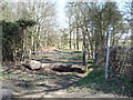 Track (bridleway) into Poorshills Wood in MK17 9EA