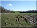 Farmland near Boastings Farm in LU5 6BN