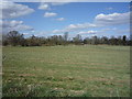 Farmland towards the River Flit in MK45 5LS