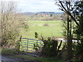 Footpath to Cooksey Green Lane, Elmbridge Green in WR9 0NQ
