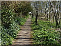 Path leading to St Michael's church, Averham in NG23 5FW