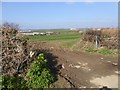 Field with a view towards housing estates, Porthleven in TR13 9BS