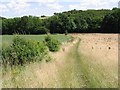Path along Oldhawe Hill towards Beacon Wood in CT6 7LL