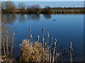 The River Trent near Farndon in NG24 3SX