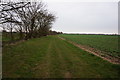 Path Leading to Longdales Lane in HU11 4HP