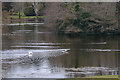 East Devon : Bicton College - The Lake in EX9 7BH