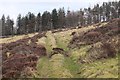 Track on Cademuir Hill in EH45 9JD